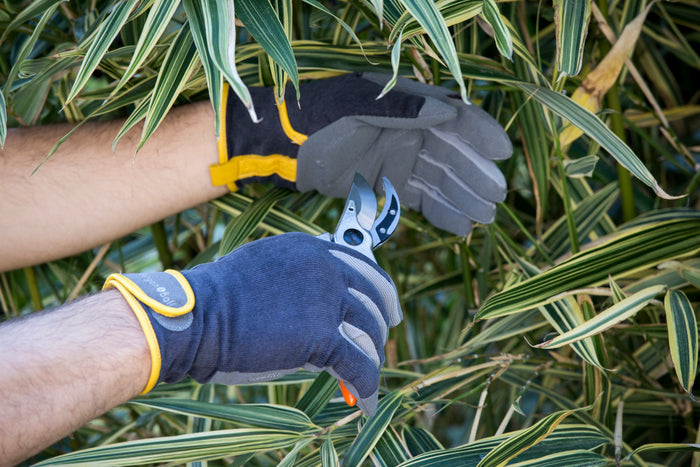 Buy Burgon & Ball Dig the Glove - Slate Corduroy online UK