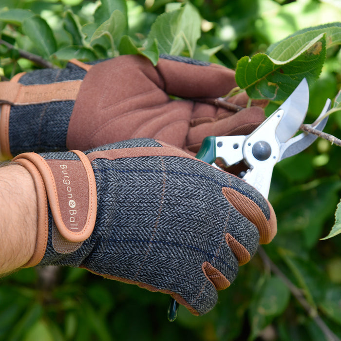 Buy Burgon & Ball Dig the Glove Tweed online UK