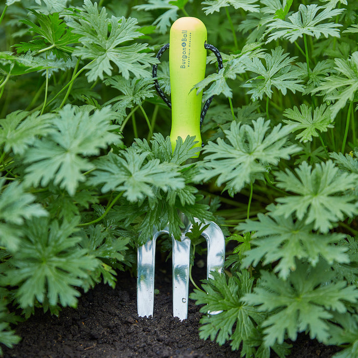 Buy Burgon & Ball FloraBrite RHS Hand Fork online UK