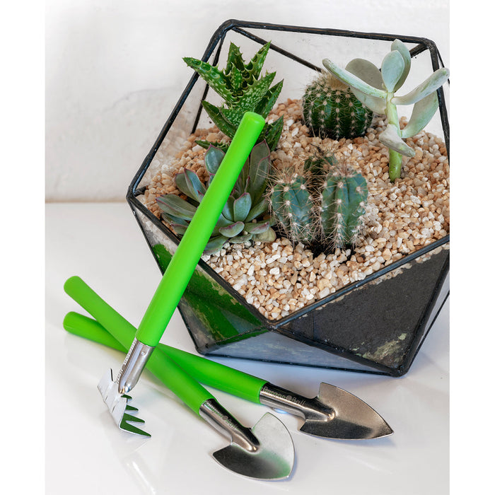 Buy Burgon & Ball Houseplant and Terrarium Tool Set online UK