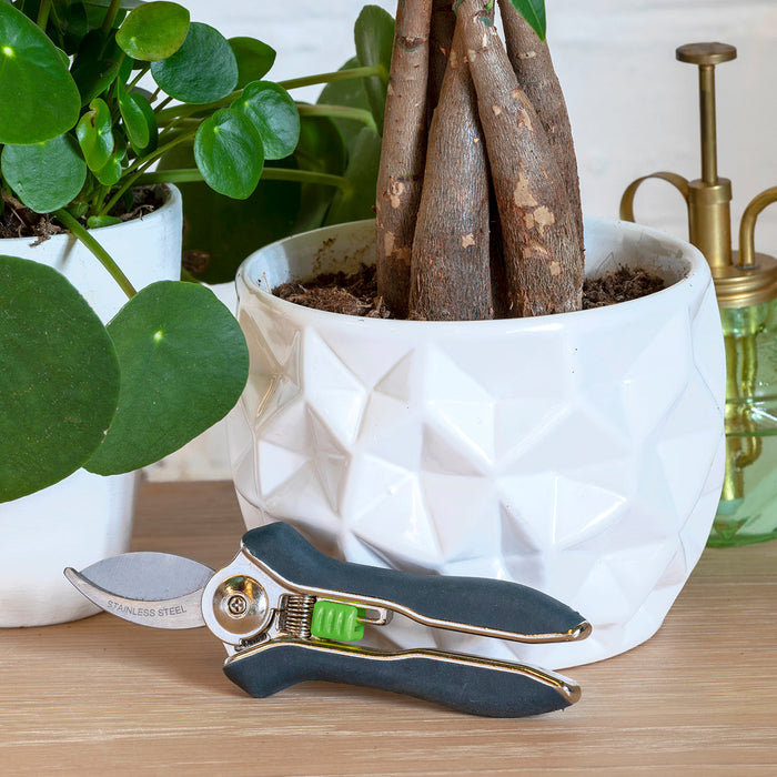 Buy Burgon & Ball Houseplant Pruner online UK