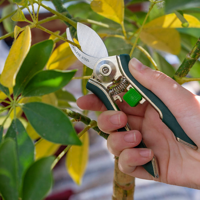 Buy Burgon & Ball Houseplant Pruner online UK