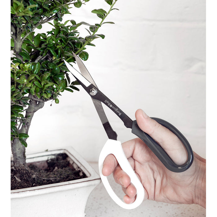 Buy Burgon & Ball Japanese Pruning Scissors online UK