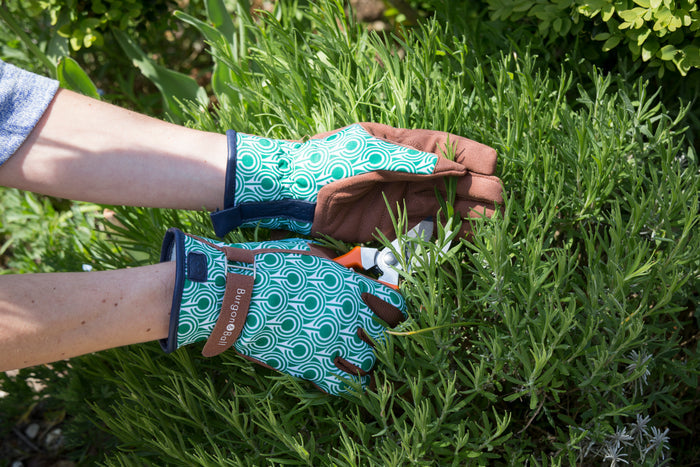 Buy Burgon & Ball Love the Glove Deco online UK