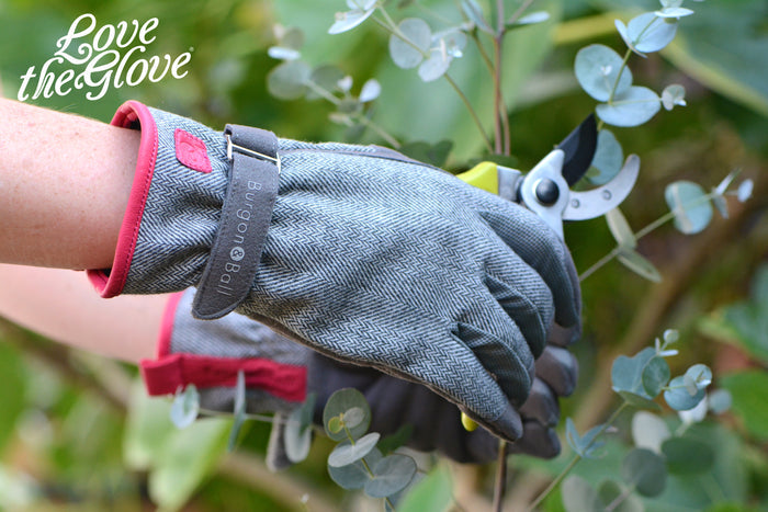 Buy Burgon & Ball Love the Glove Grey Tweed online UK