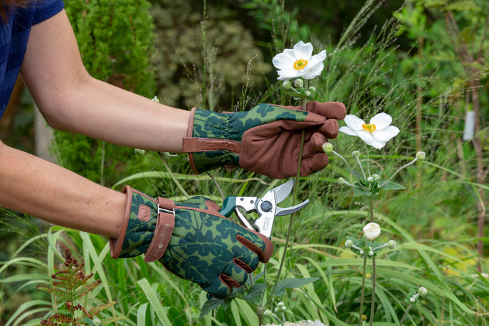 Buy Burgon & Ball Love the Glove Oak Leaf Moss online UK