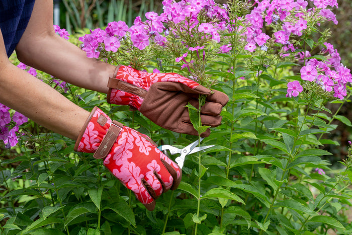 Buy Burgon & Ball Love the Glove Oak Leaf Poppy online UK