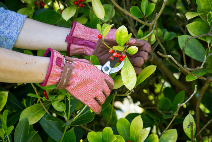 Buy Burgon & Ball Love the Glove Red Tweed online UK