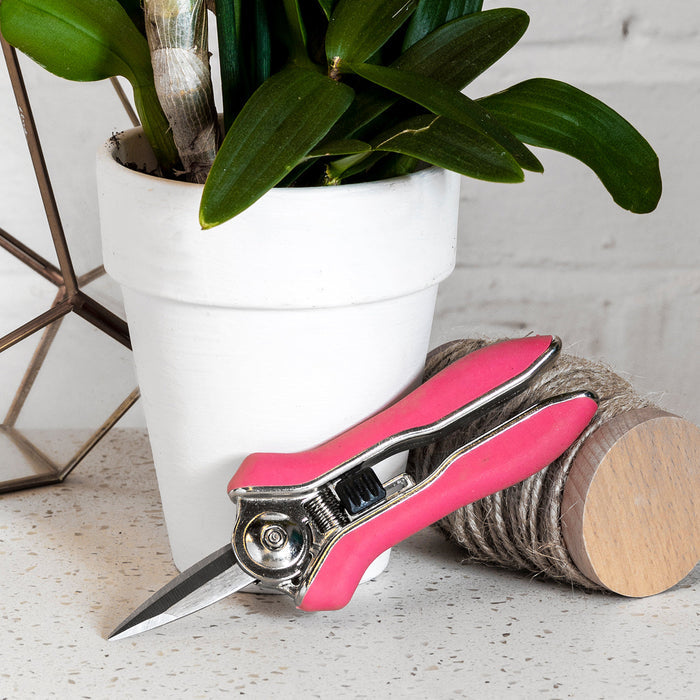 Buy Burgon & Ball Orchid Snips online UK