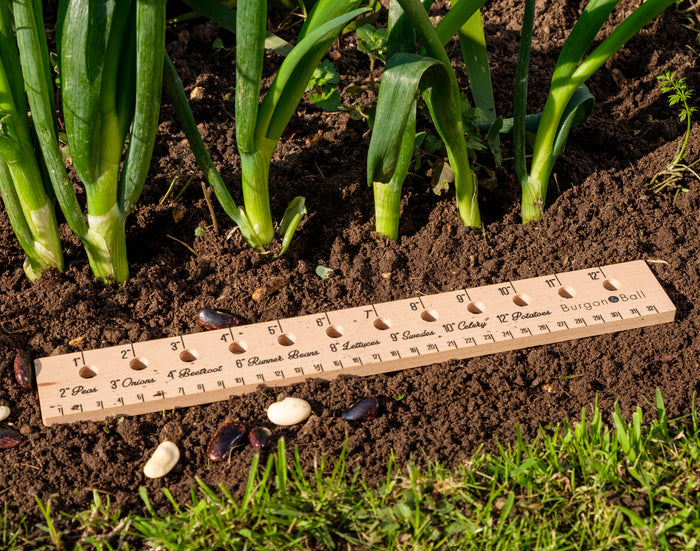 Buy Burgon & Ball Planting Ruler online UK