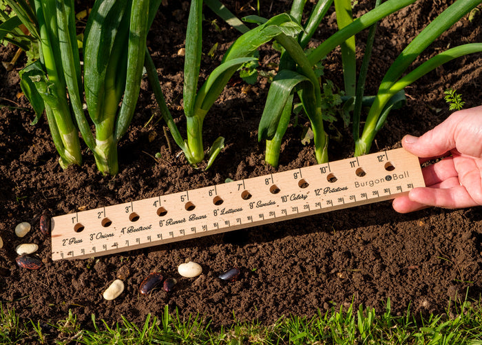Buy Burgon & Ball Planting Ruler online UK