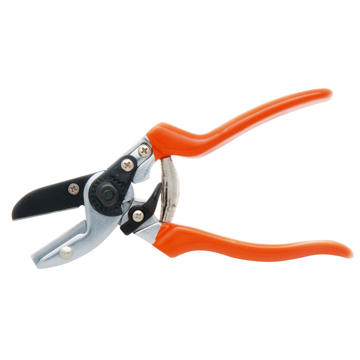 Buy Burgon & Ball RHS Anvil Secateur online UK