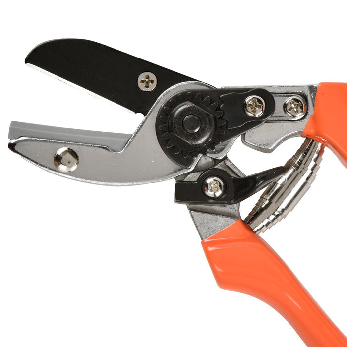 Buy Burgon & Ball RHS Anvil Secateur online UK