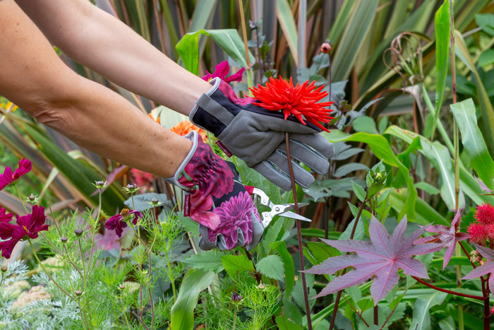 Buy Burgon & Ball RHS British Bloom Gloves online UK