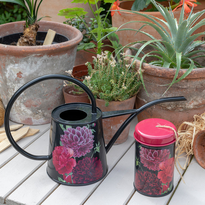 Buy Burgon & Ball RHS British Bloom Indoor Watering Can online UK