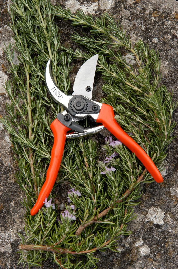 Buy Burgon & Ball RHS Bypass Secateurs online UK
