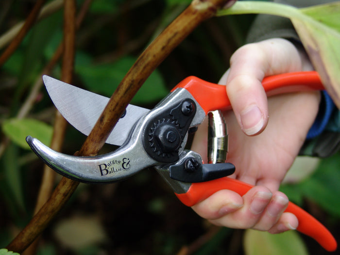 Buy Burgon & Ball RHS Bypass Secateurs online UK