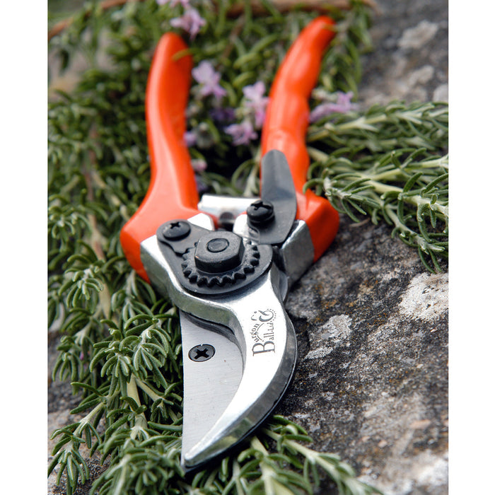 Buy Burgon & Ball RHS Bypass Secateurs online UK
