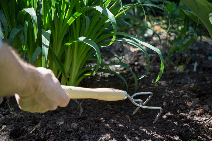 Buy Burgon & Ball RHS Claw Cultivator Mid Handled online UK