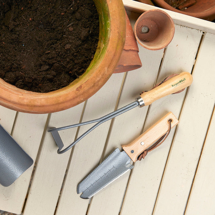Buy Burgon & Ball RHS Container Weeder online UK