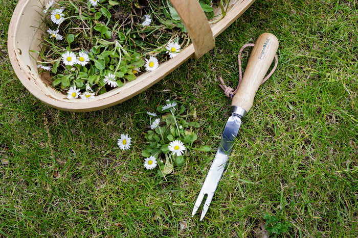 Buy Burgon & Ball RHS Daisy Grubber online UK