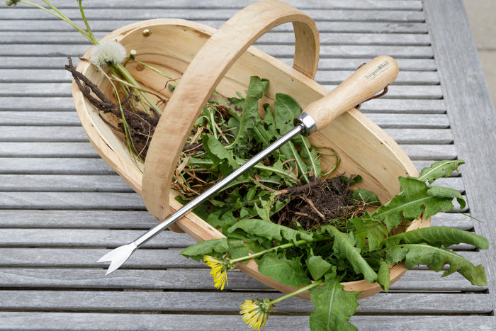 Buy Burgon & Ball RHS Dandelion Weeder online UK