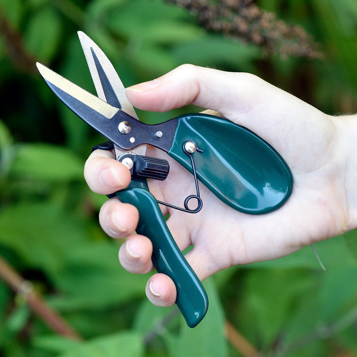 Buy Burgon & Ball RHS Ergo Deadheader online UK