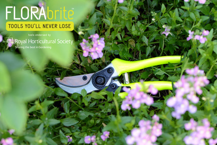 Buy Burgon & Ball RHS FloraBrite Bypass Secateurs online UK