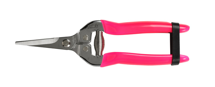 Buy Burgon & Ball RHS FloraBrite Flower and Fruit Snip online UK