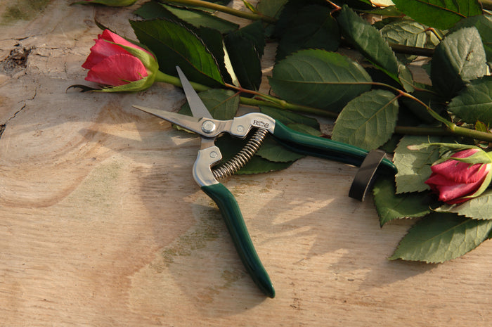 Buy Burgon & Ball RHS Flower and Fruit Snips online UK