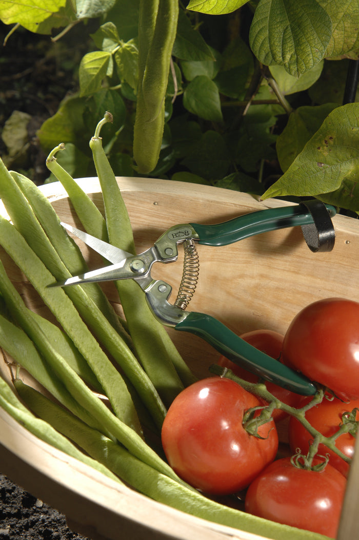 Buy Burgon & Ball RHS Flower and Fruit Snips online UK