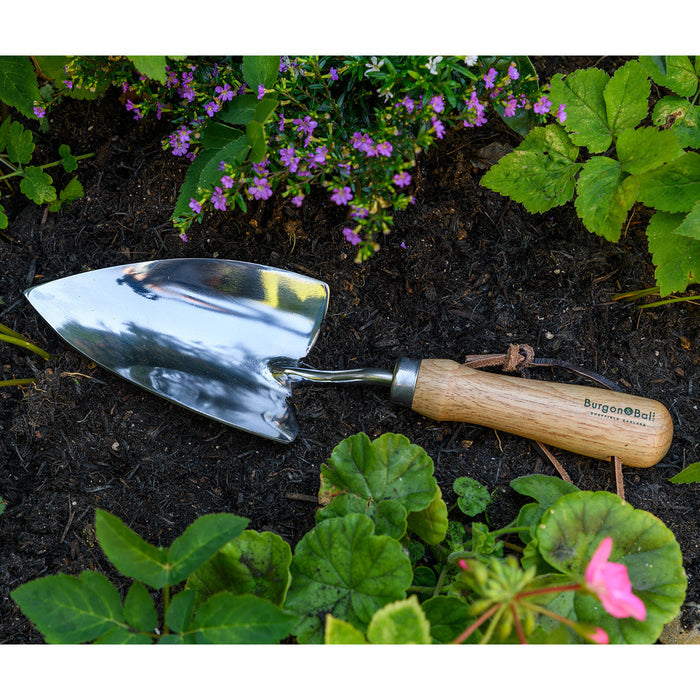 Buy Burgon & Ball RHS Groundbreaker Trowel online UK