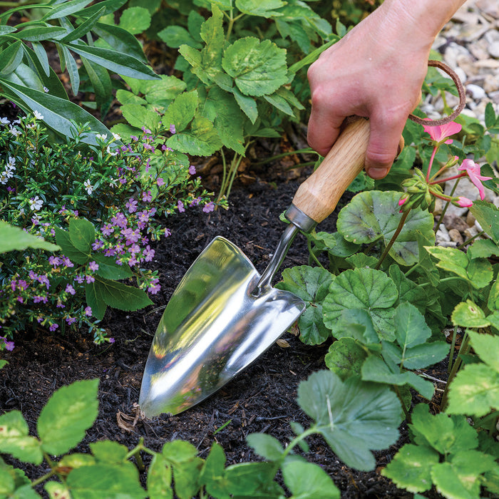 Buy Burgon & Ball RHS Groundbreaker Trowel online UK