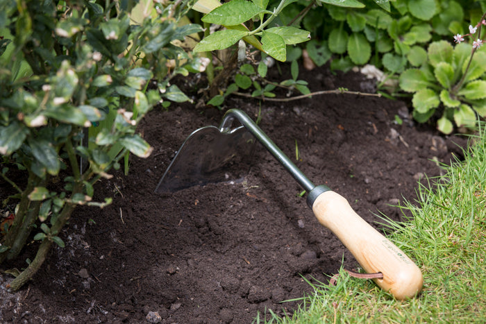 Buy Burgon & Ball RHS Hand Hoe online UK
