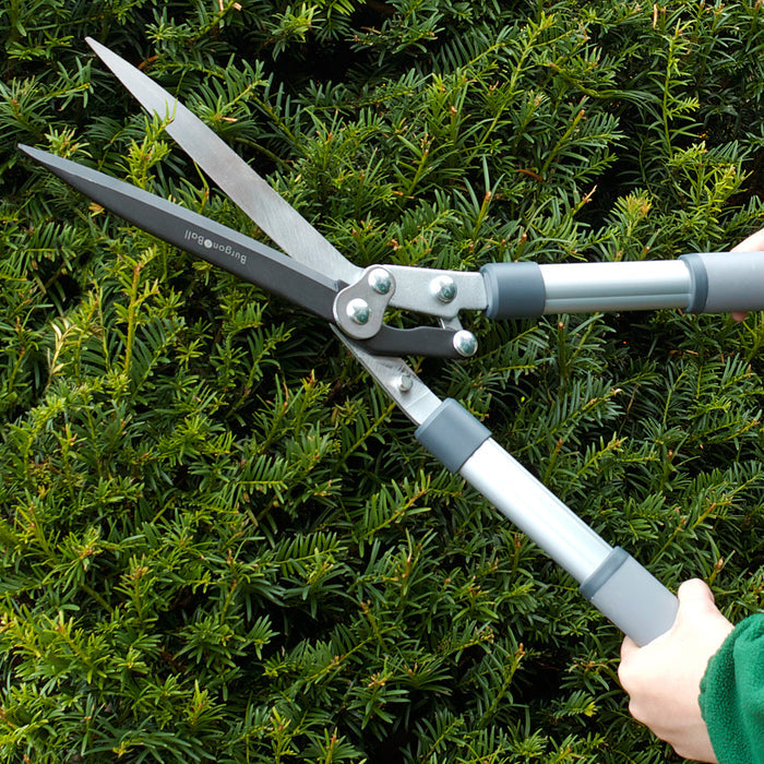 Buy Burgon & Ball RHS Hedge Shears online UK