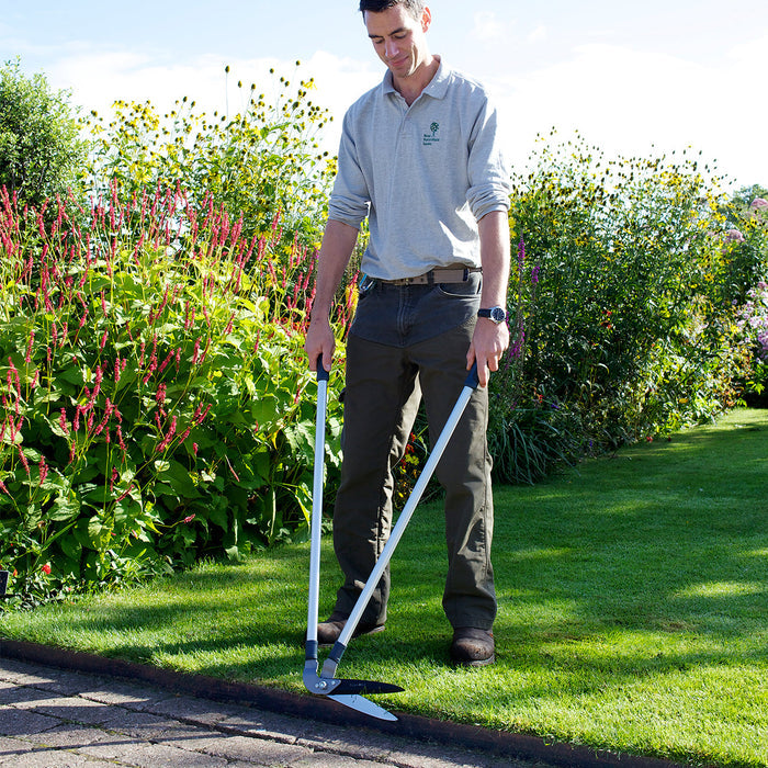 Buy Burgon & Ball RHS Lawn Hedging Shears online UK