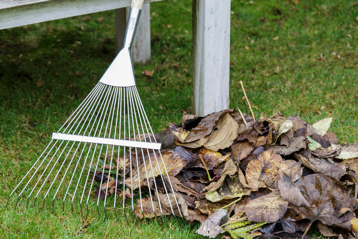 Buy Burgon & Ball RHS Lawn Rake online UK