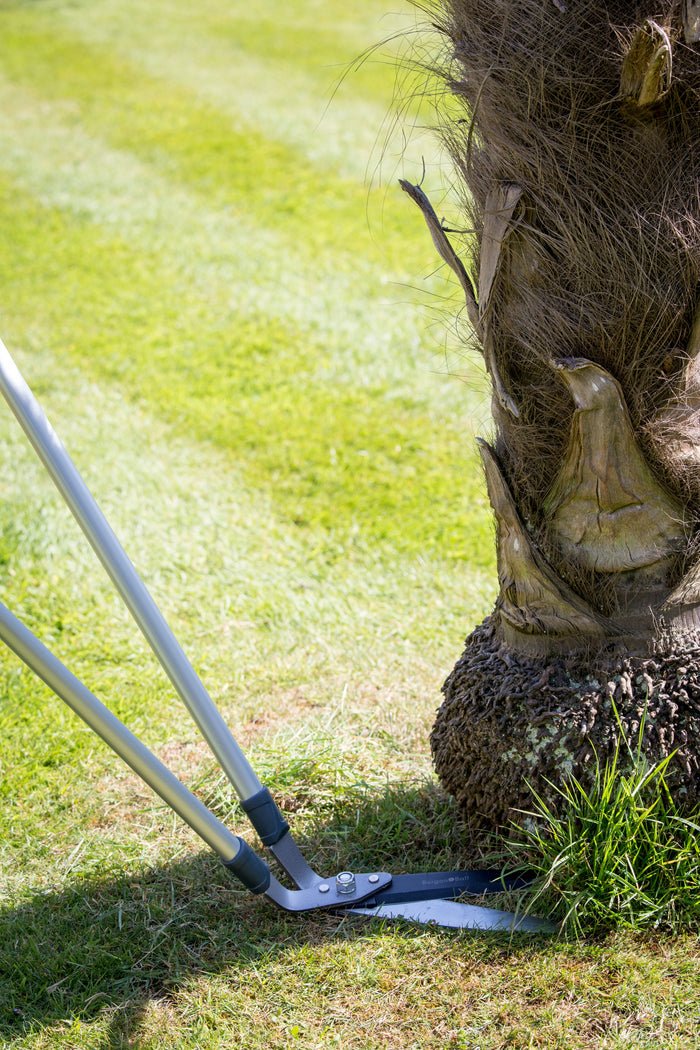 Buy Burgon & Ball RHS Lawn Shears online UK