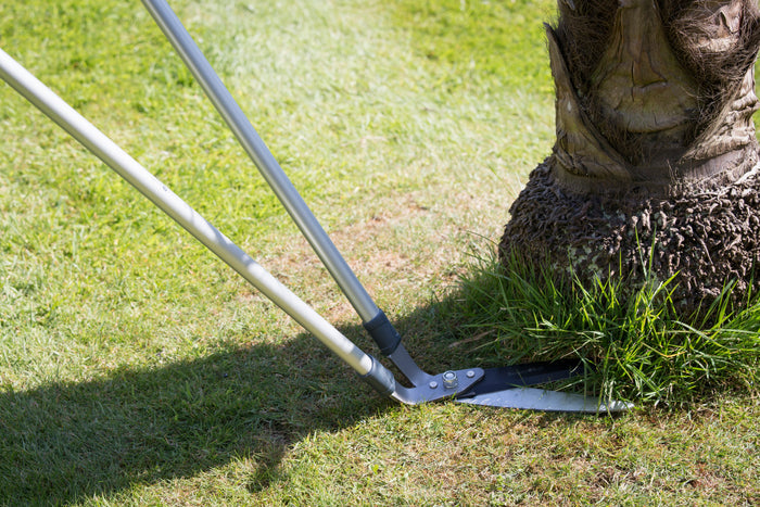 Buy Burgon & Ball RHS Lawn Shears online UK