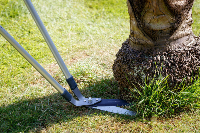 Buy Burgon & Ball RHS Lawn Shears online UK
