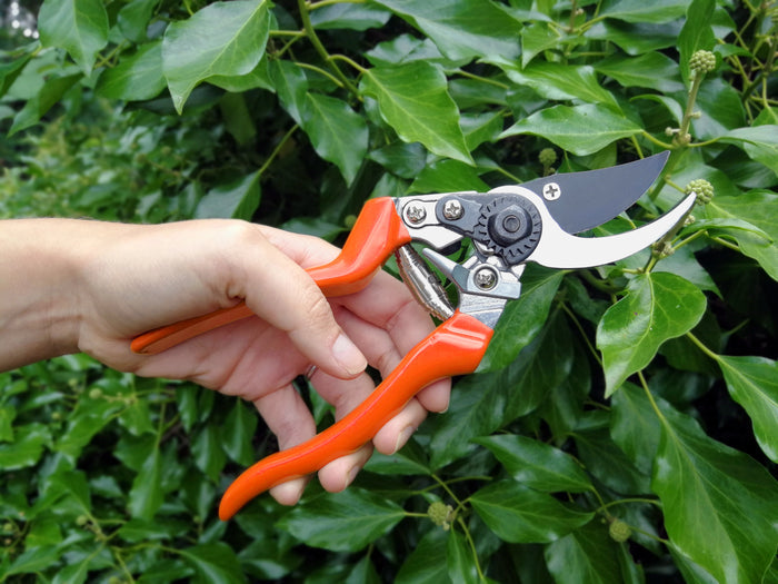 Buy Burgon & Ball RHS Left-Handed Bypass Secateurs online UK