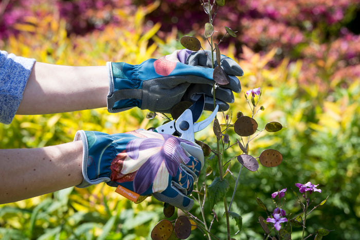 Buy Burgon & Ball RHS Passiflora Gloves online UK