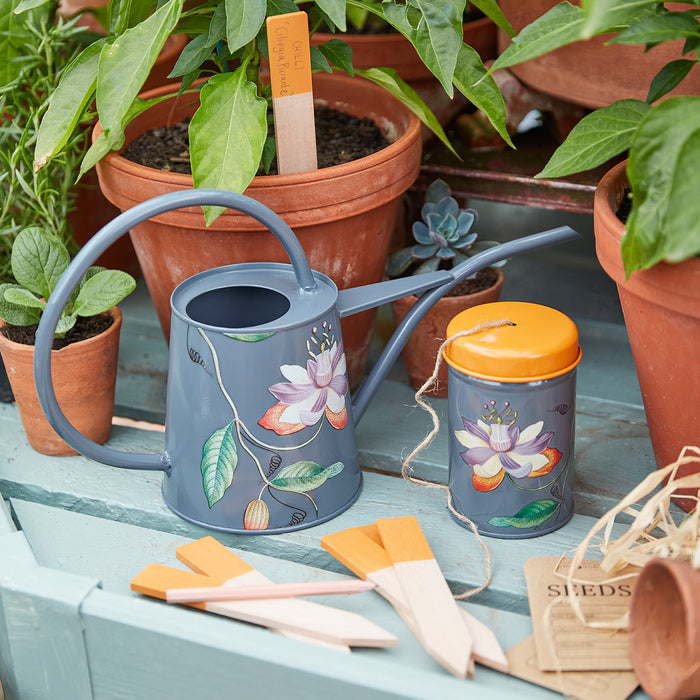 Buy Burgon & Ball RHS Passiflora Indoor Watering Can online UK