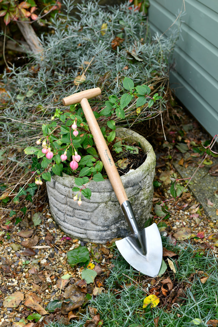 Buy Burgon & Ball RHS Perennial Spade online UK