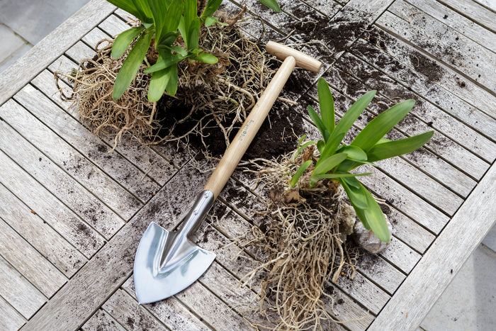 Buy Burgon & Ball RHS Perennial Spade online UK