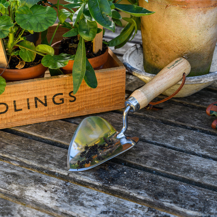 Buy Burgon & Ball RHS Planting Trowel online UK