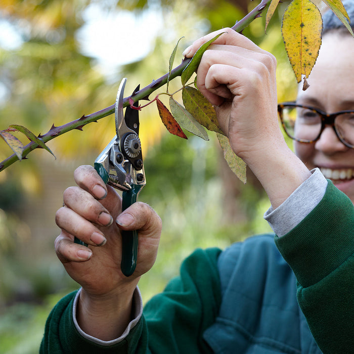 Buy Burgon & Ball RHS Pocket Pruner online UK