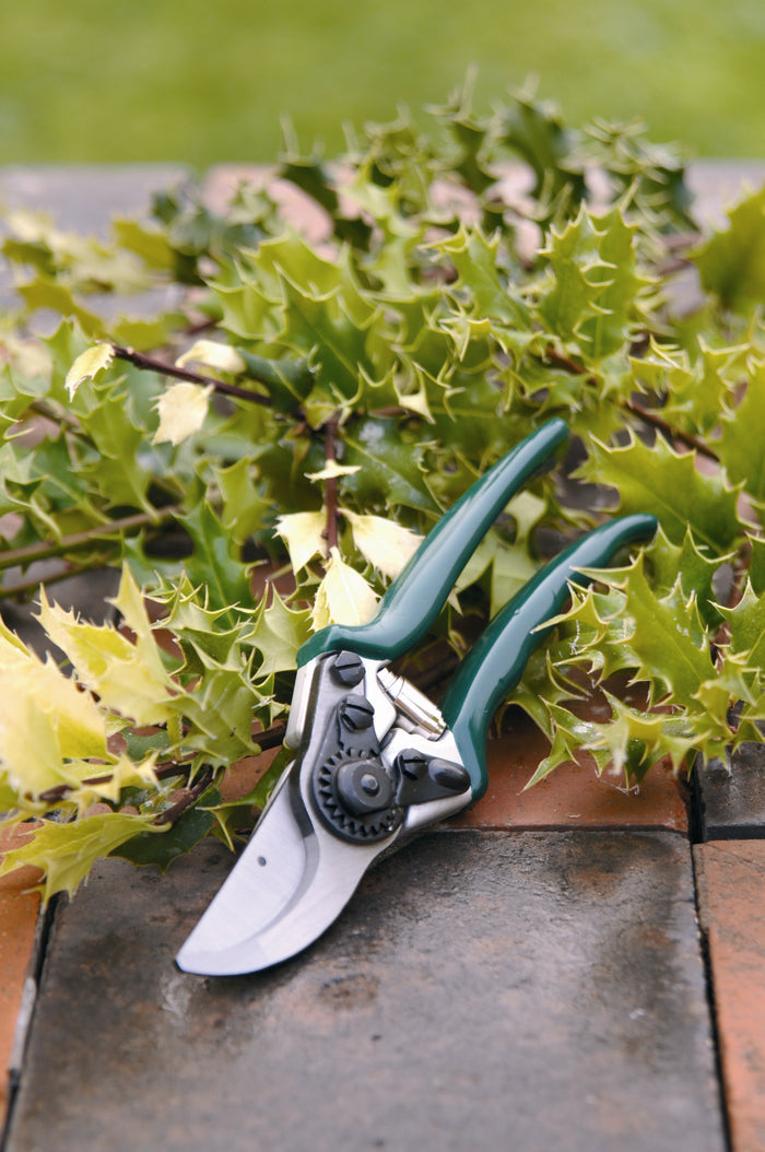 Buy Burgon & Ball RHS Professional Bypass Secateurs online UK