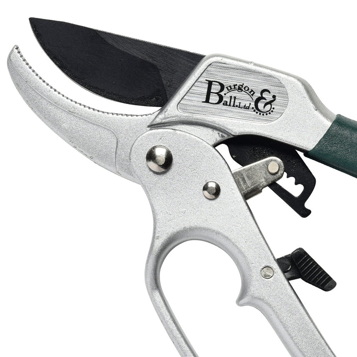 Buy Burgon & Ball RHS Ratchet Pruner online UK