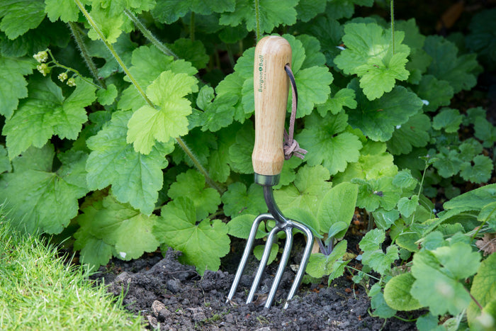 Buy Burgon & Ball RHS Round Tined Fork online UK